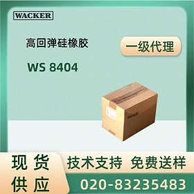߿ELASTOSIL® WS8404 𽺲Ʒ˵